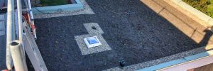 IMG-20210923-WA0065