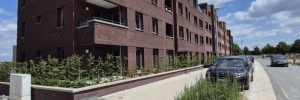 Projekt-12-ElpatraGroß (20250619_133839)