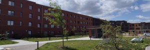 Projekt-12-ElpatraGroß (20250619_134121)